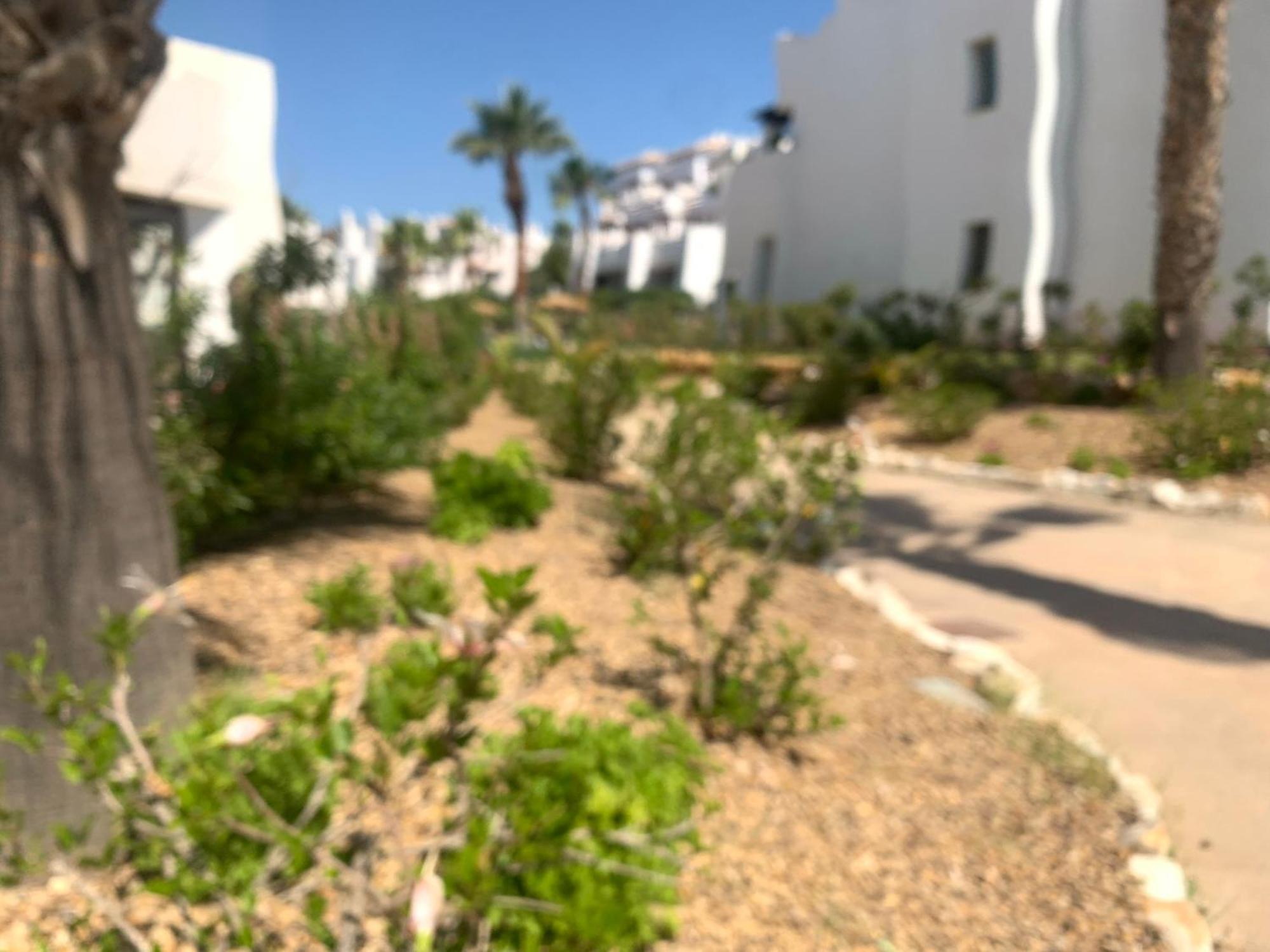 Apartamento Las Salinas 1389 Vera Exteriör bild